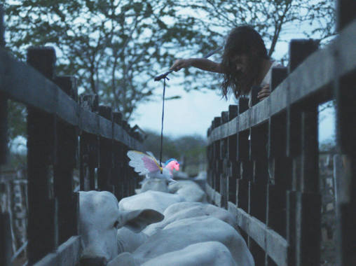 Gabriel Mascaro o filmu Neonový býk